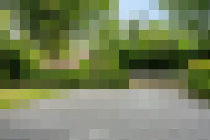 Noordlaan 52 Bergen (NH) thumbnail 5