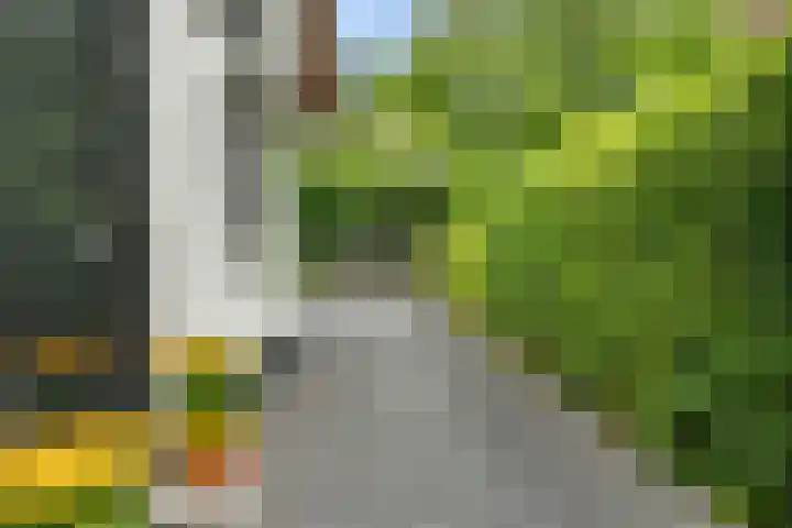 Noordlaan 52 Bergen (NH) thumbnail 7