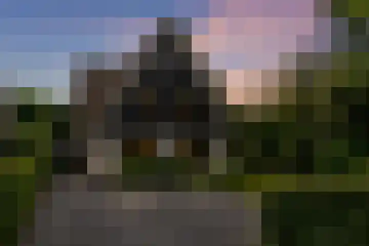 Noordlaan 52 Bergen (NH) thumbnail 8