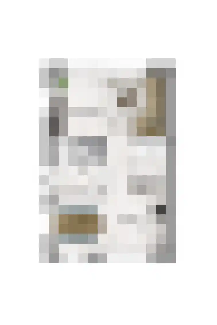 Noordlaan 62 Roosendaal thumbnail 4