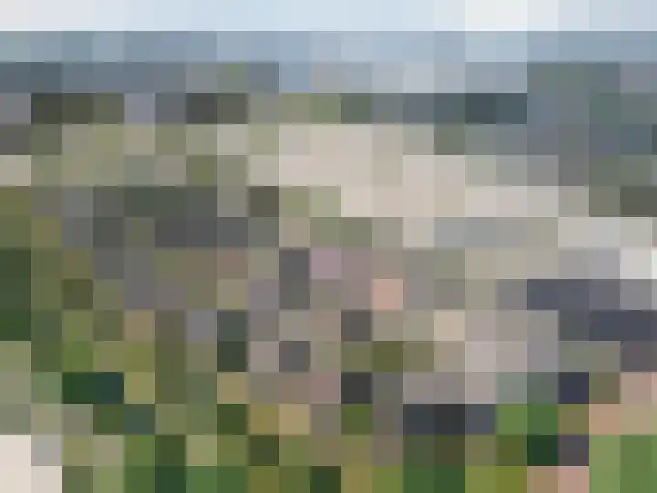 Noordlaan 93 Roosendaal thumbnail 5
