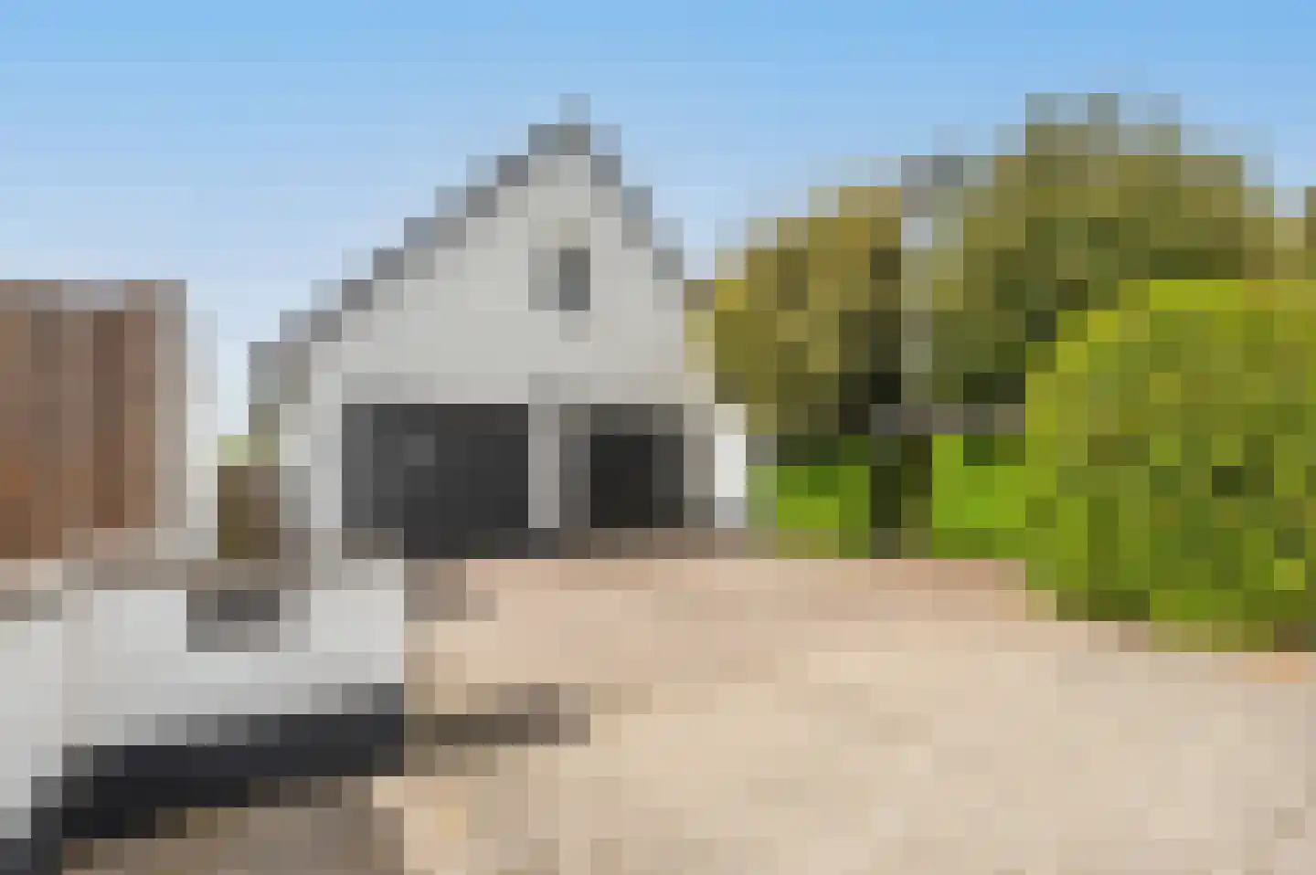 Noordland 8 Cadzand thumbnail 4