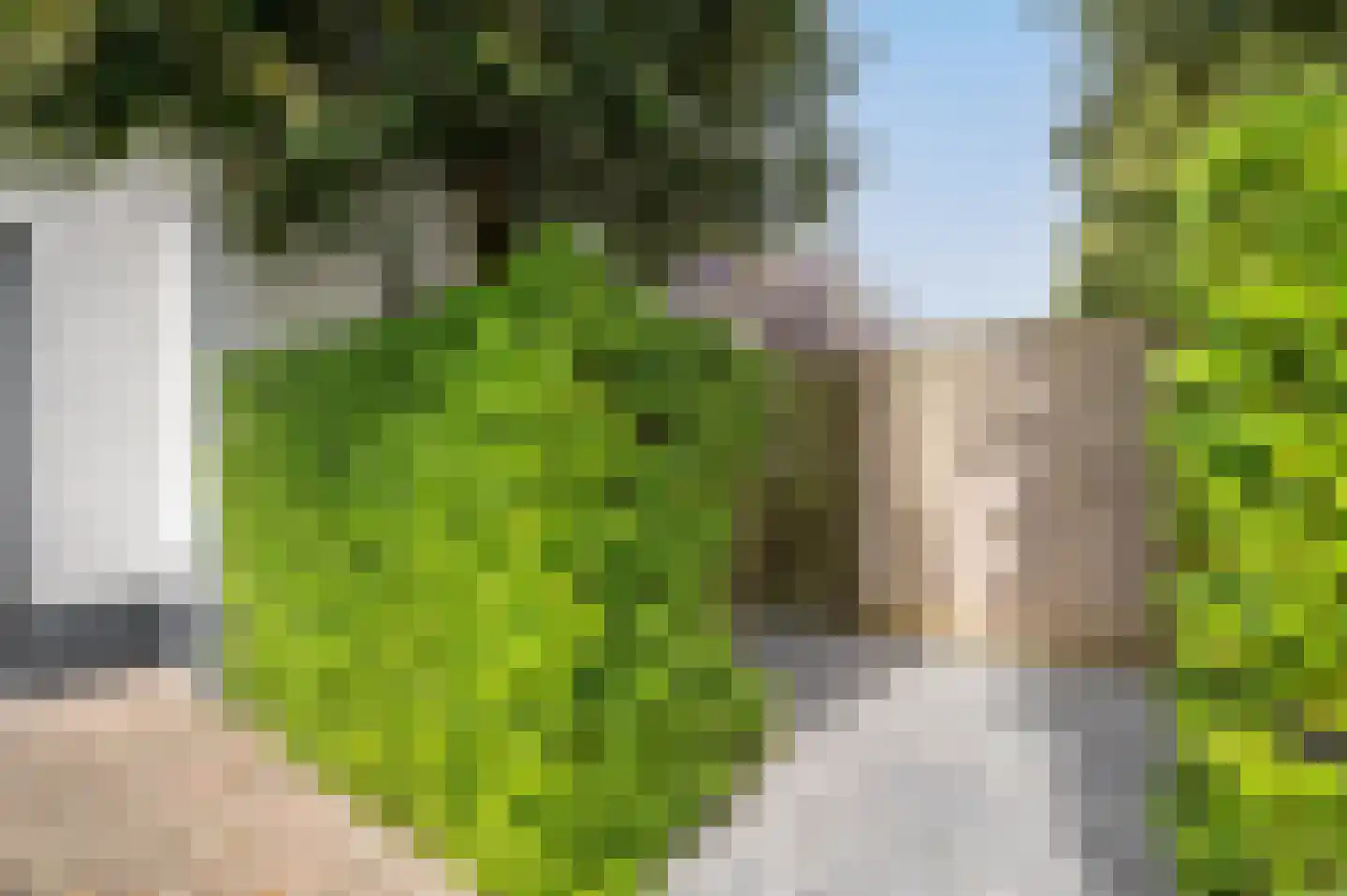 Noordland 8 Cadzand thumbnail 5