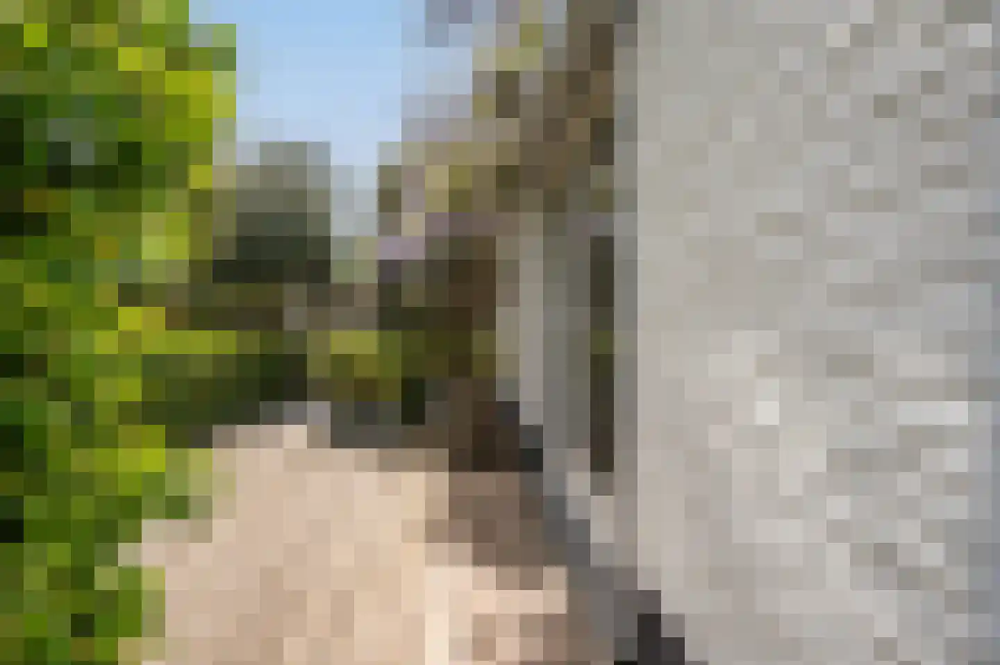 Noordland 8 Cadzand thumbnail 51