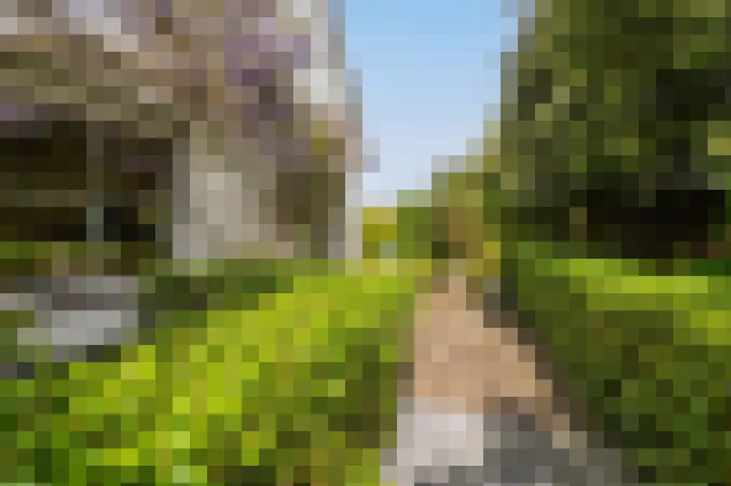 Noordland 8 Cadzand thumbnail 53