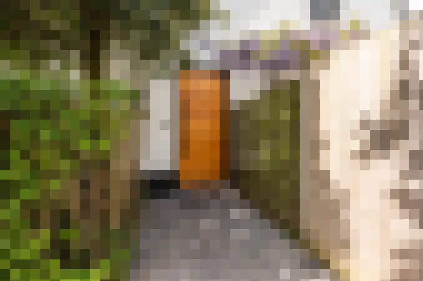 Noordland 8 Cadzand thumbnail 6