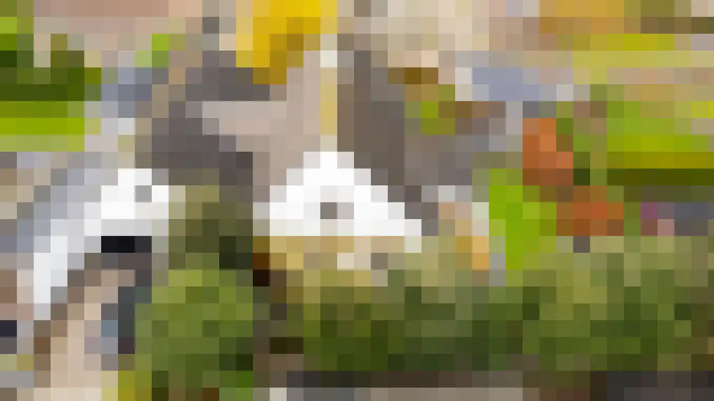 Noordland 8 Cadzand thumbnail 62
