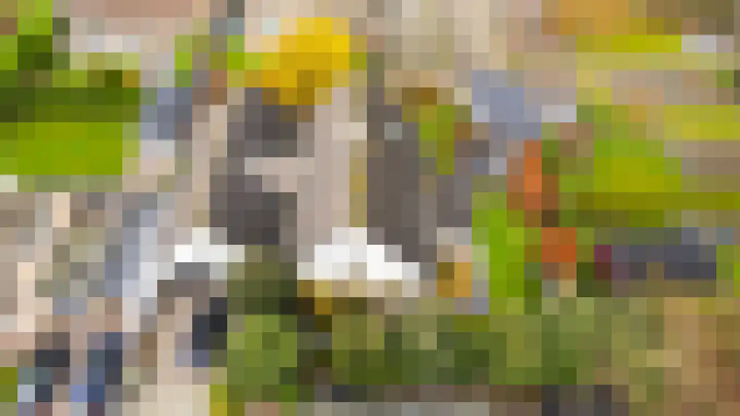Noordland 8 Cadzand thumbnail 63