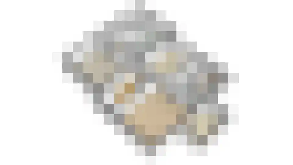 Noordland 8 Cadzand thumbnail 67