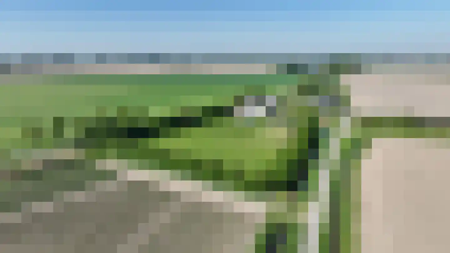 Noordlandsedijk 4 Oude-Tonge thumbnail 43