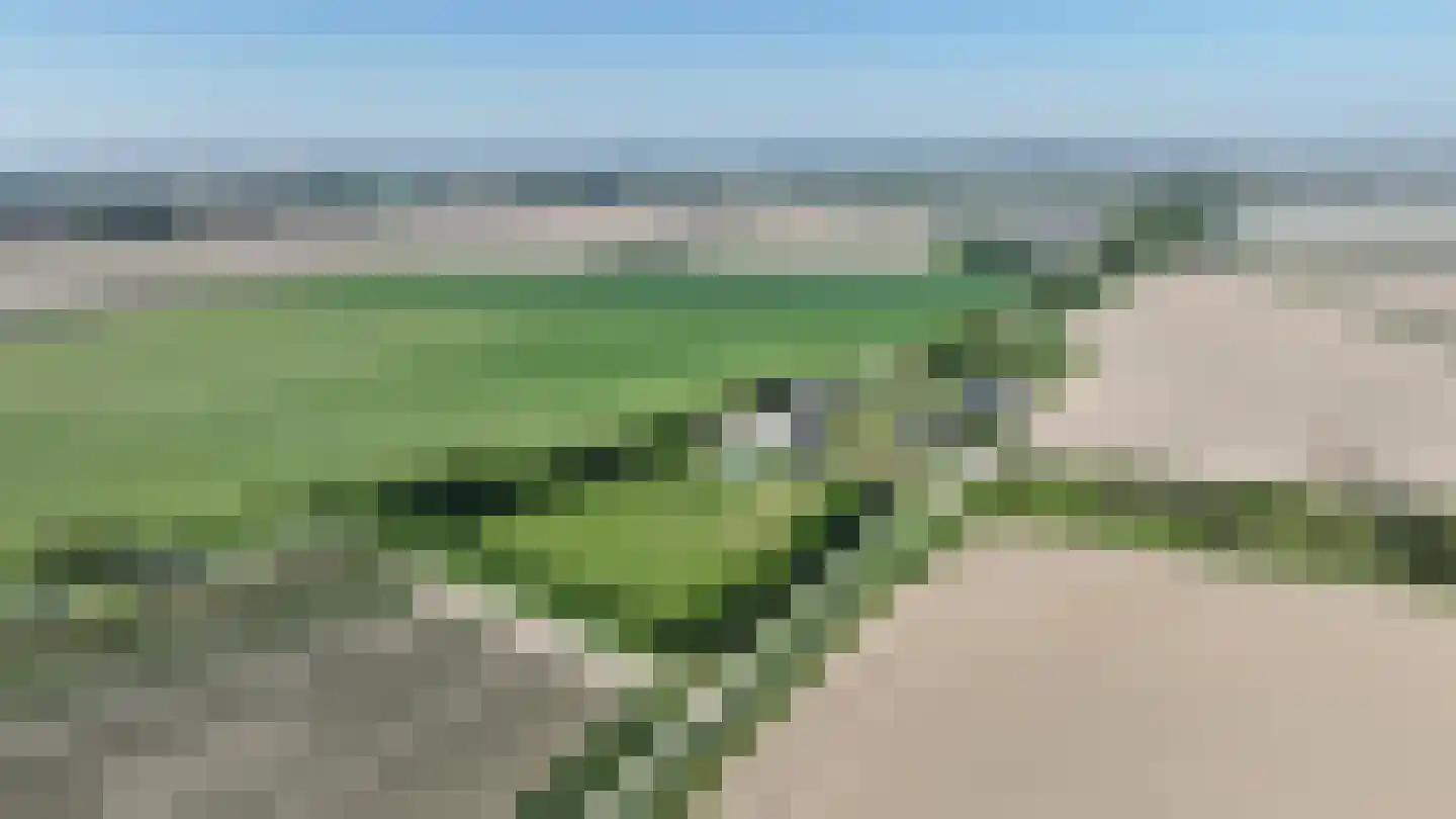 Noordlandsedijk 4 Oude-Tonge thumbnail 45