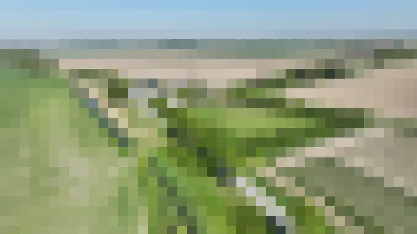 Noordlandsedijk 4 Oude-Tonge thumbnail 47