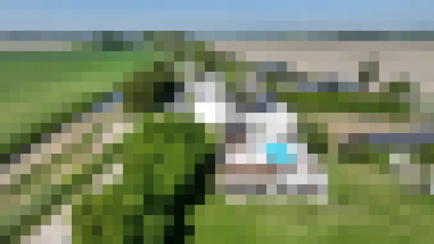 Noordlandsedijk 4 Oude-Tonge thumbnail 50