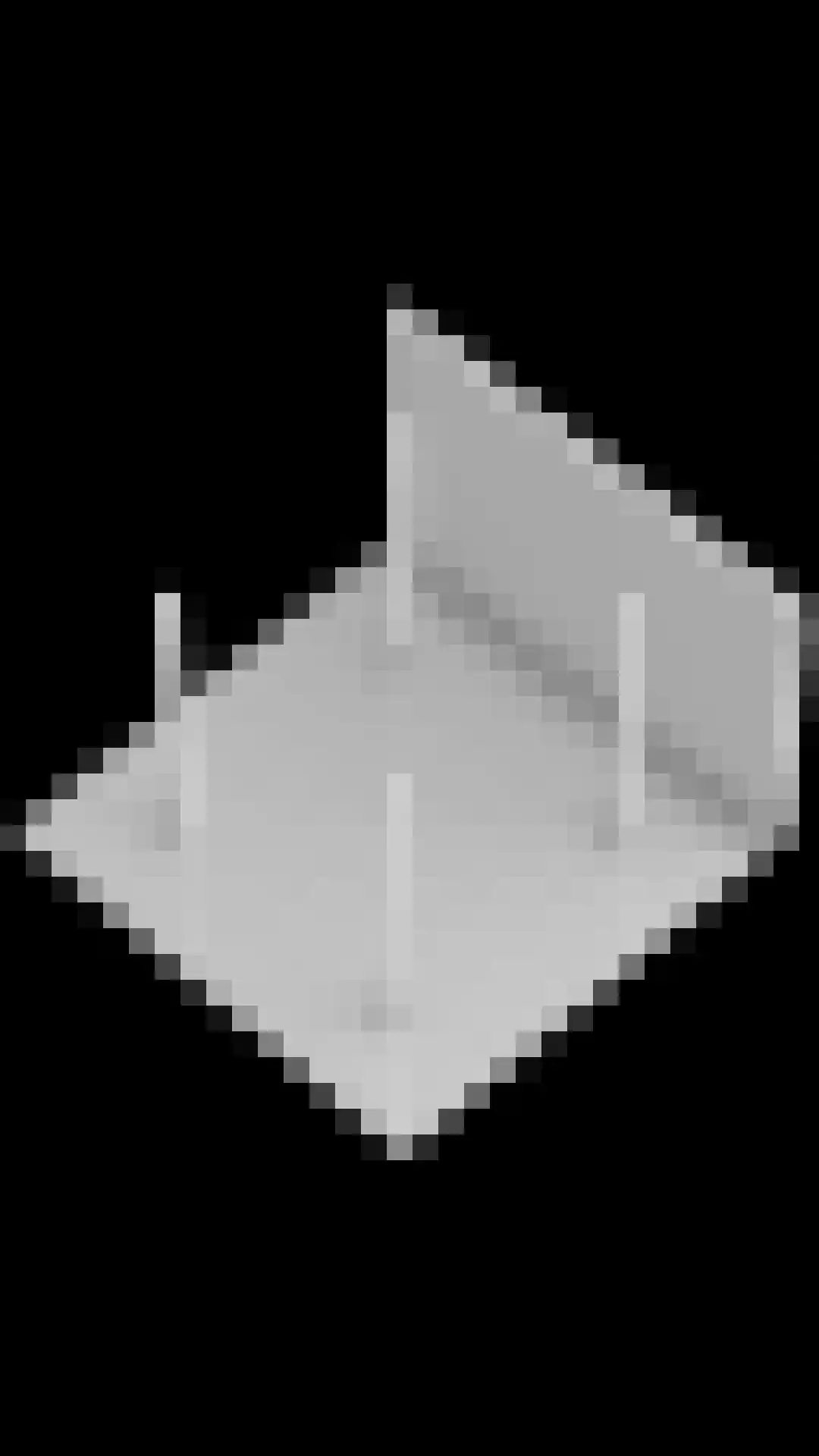 Noordlandsedijk 4 Oude-Tonge thumbnail 66