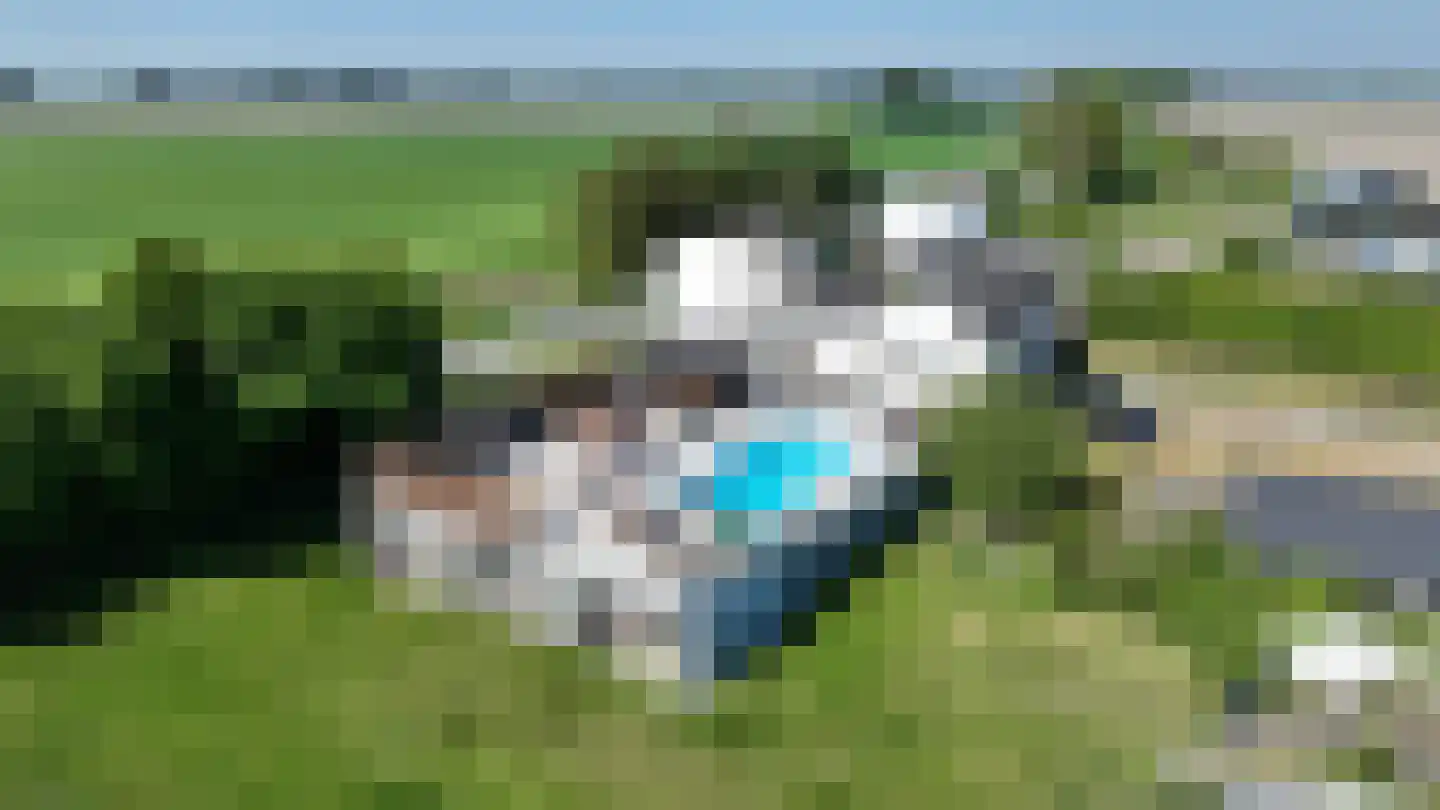 Noordlandsedijk 4 Oude-Tonge thumbnail 7