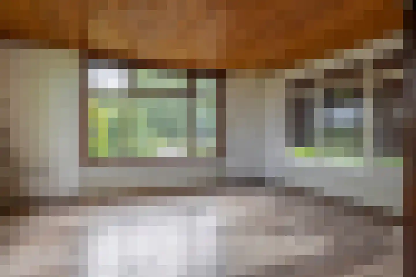 Noordlandsedijk 8 Oude-Tonge thumbnail 11