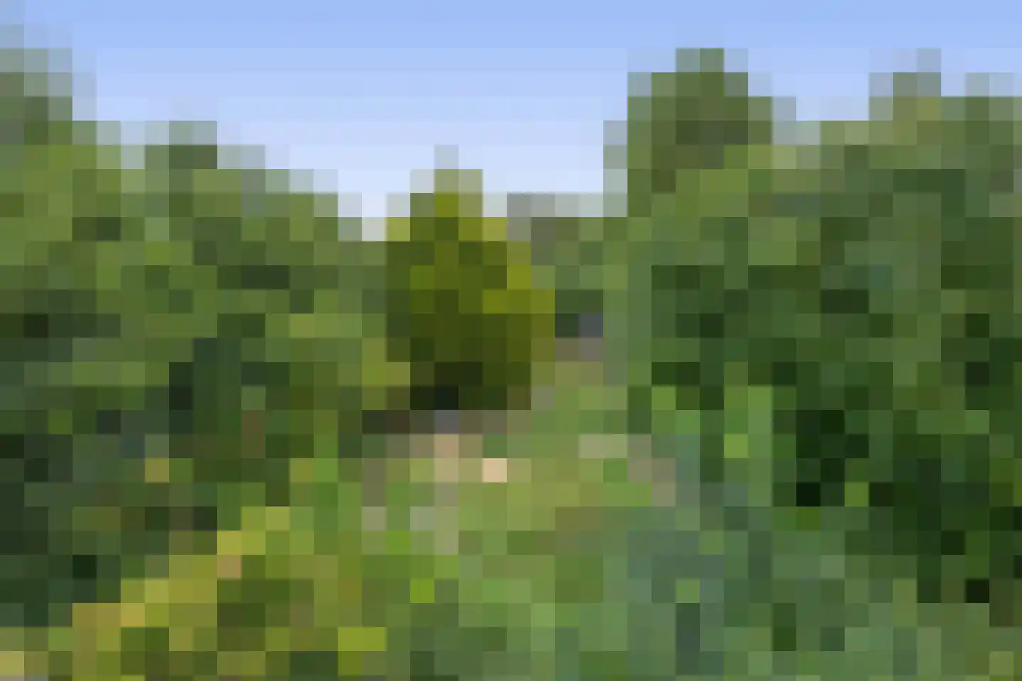 Noordlandsedijk 8 Oude-Tonge thumbnail 27
