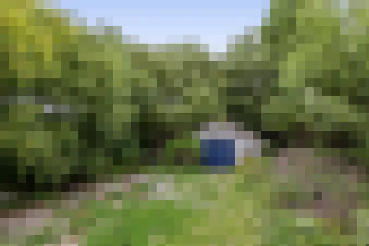 Noordlandsedijk 8 Oude-Tonge thumbnail 4