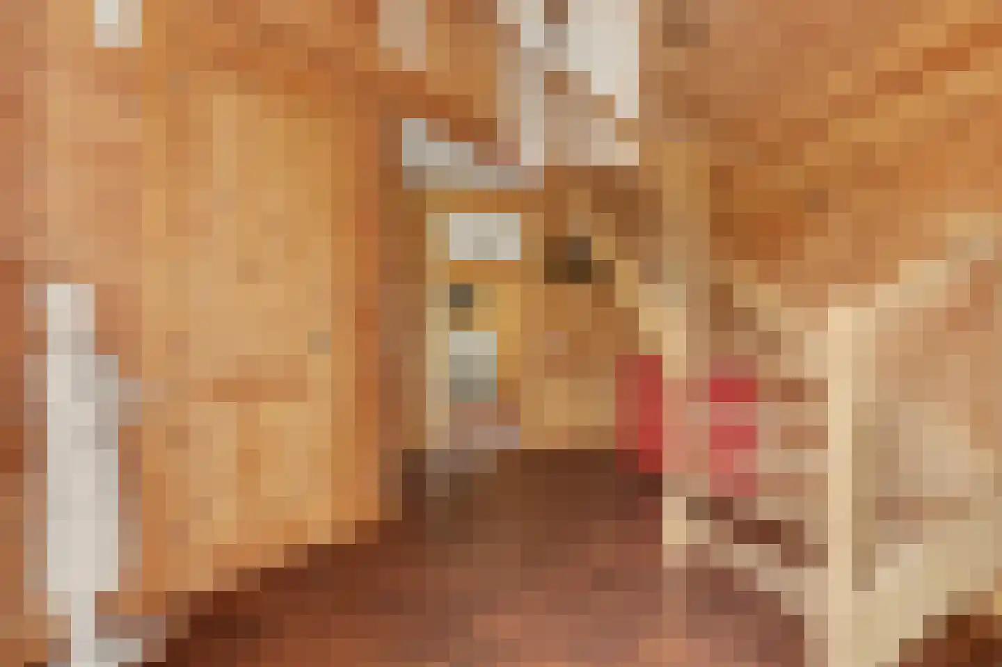 Noordlandselaan 27 's-Gravenzande thumbnail 15