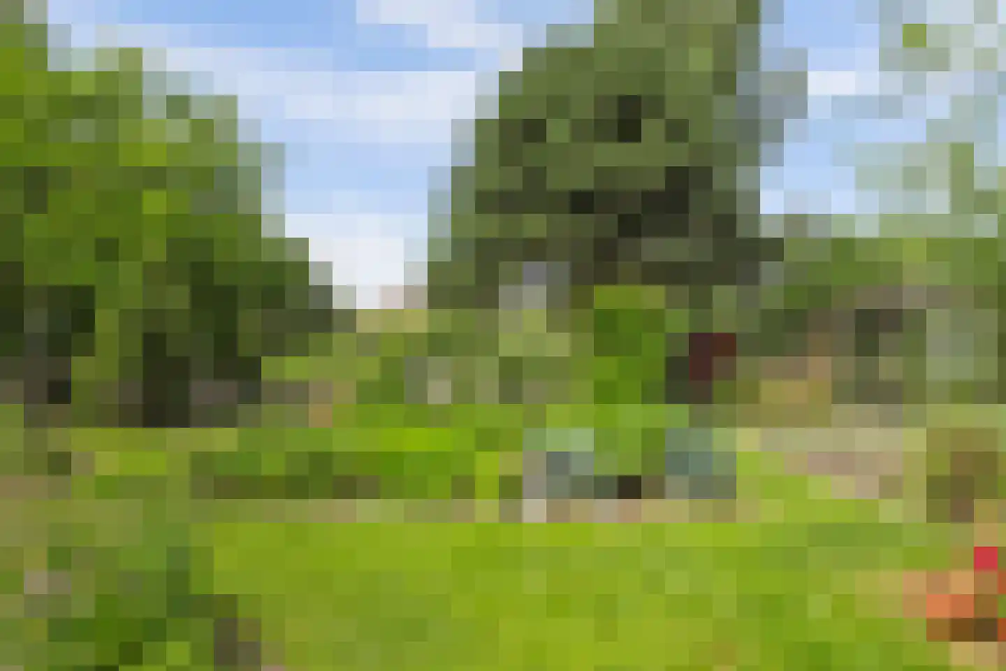 Noordlandselaan 27 's-Gravenzande thumbnail 36