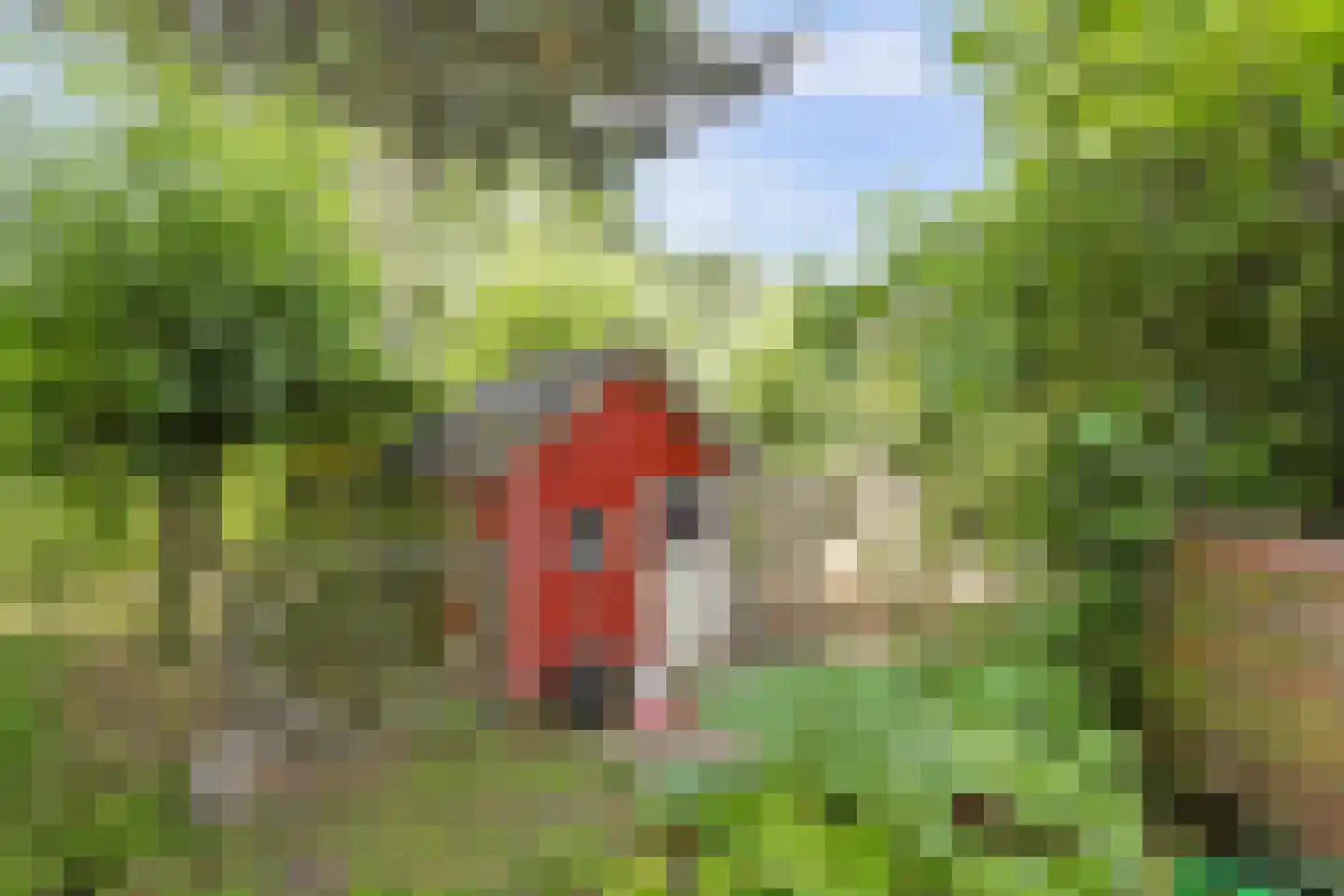 Noordlandselaan 27 's-Gravenzande thumbnail 39