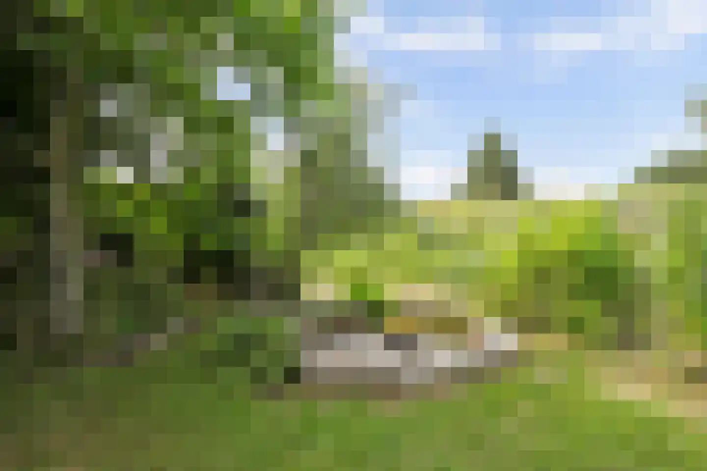 Noordlandselaan 27 's-Gravenzande thumbnail 41