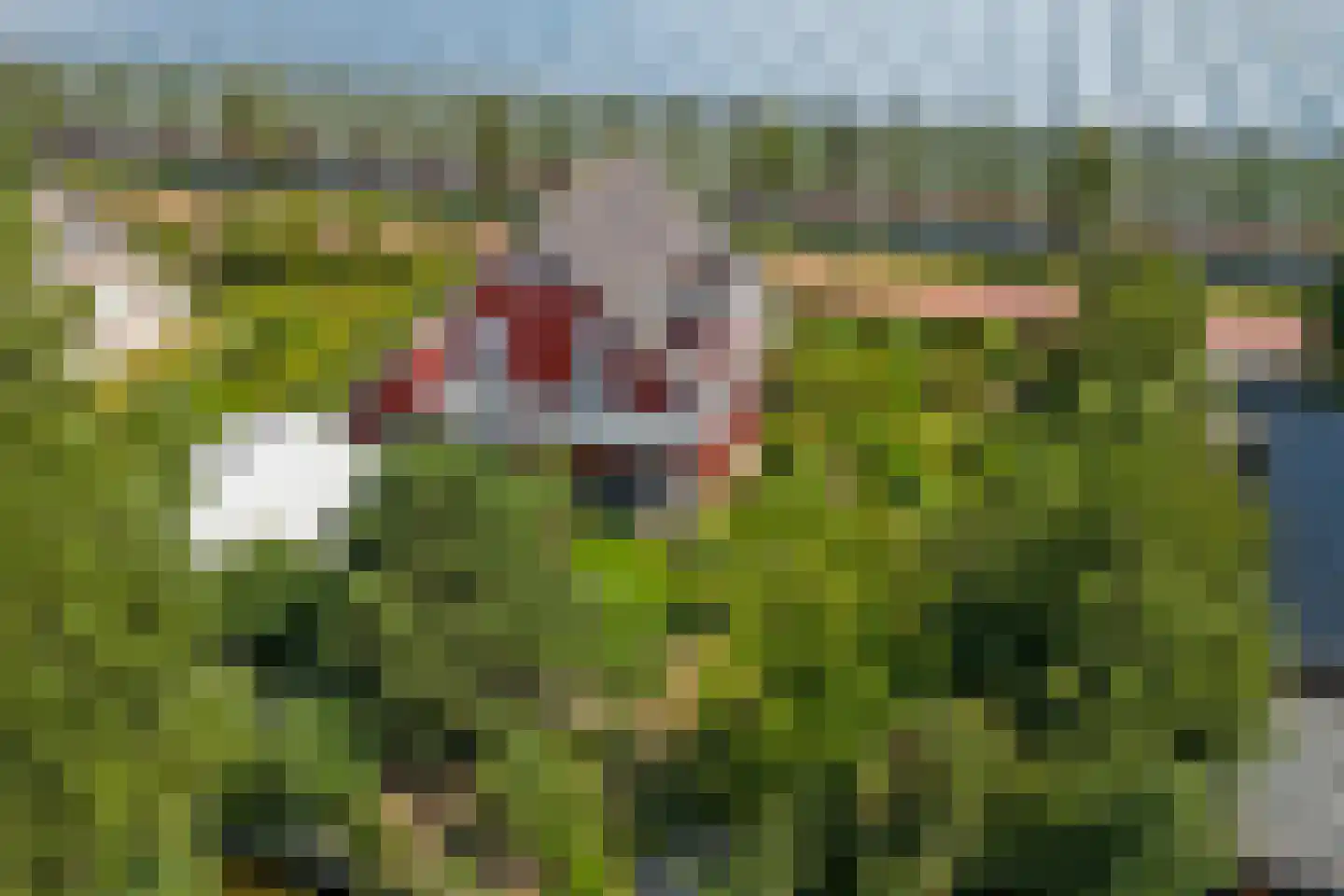 Noordlandselaan 27 's-Gravenzande thumbnail 43