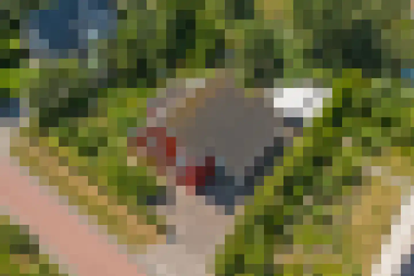 Noordlandselaan 27 's-Gravenzande thumbnail 45