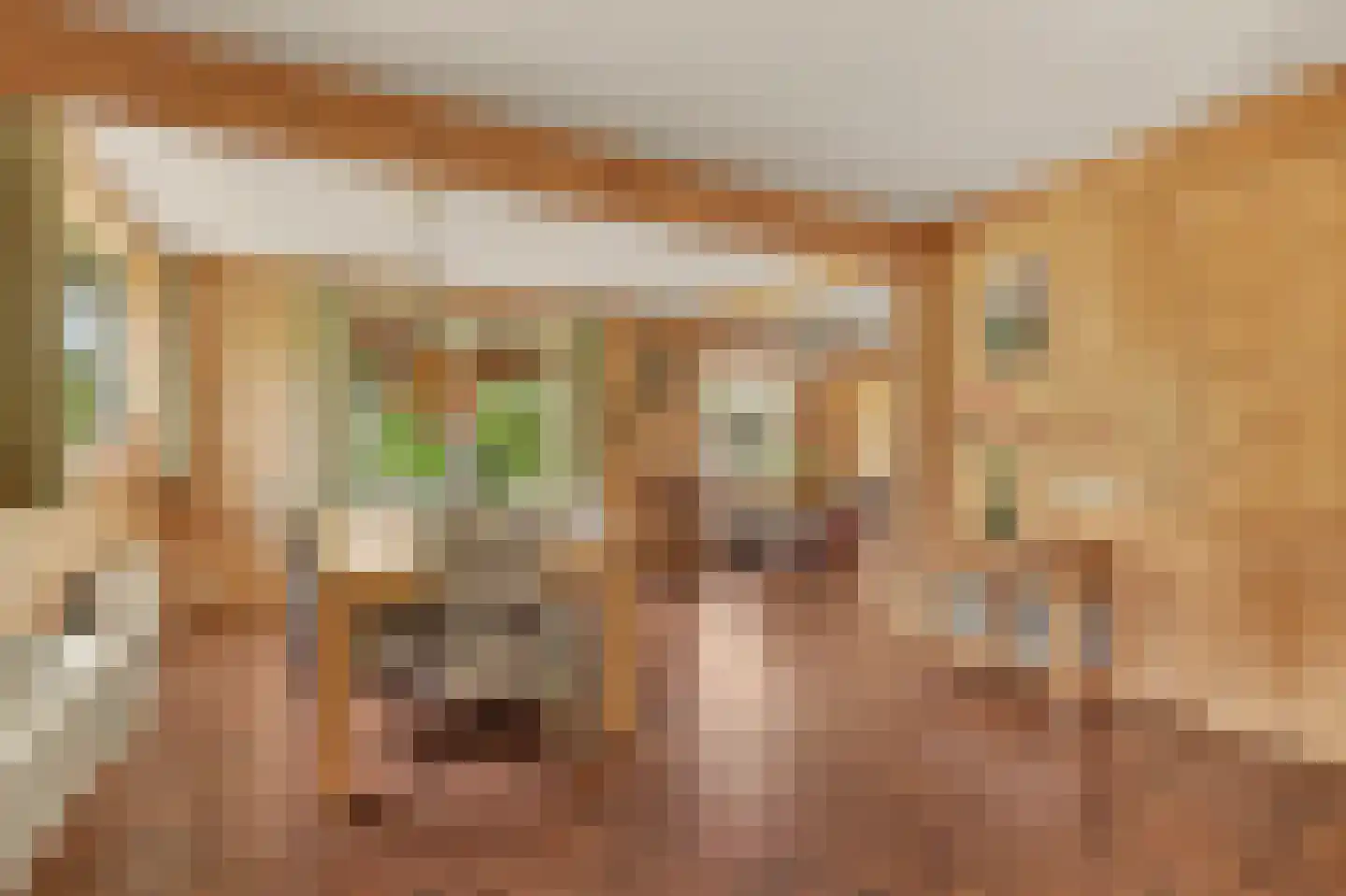 Noordlandselaan 27 's-Gravenzande thumbnail 7