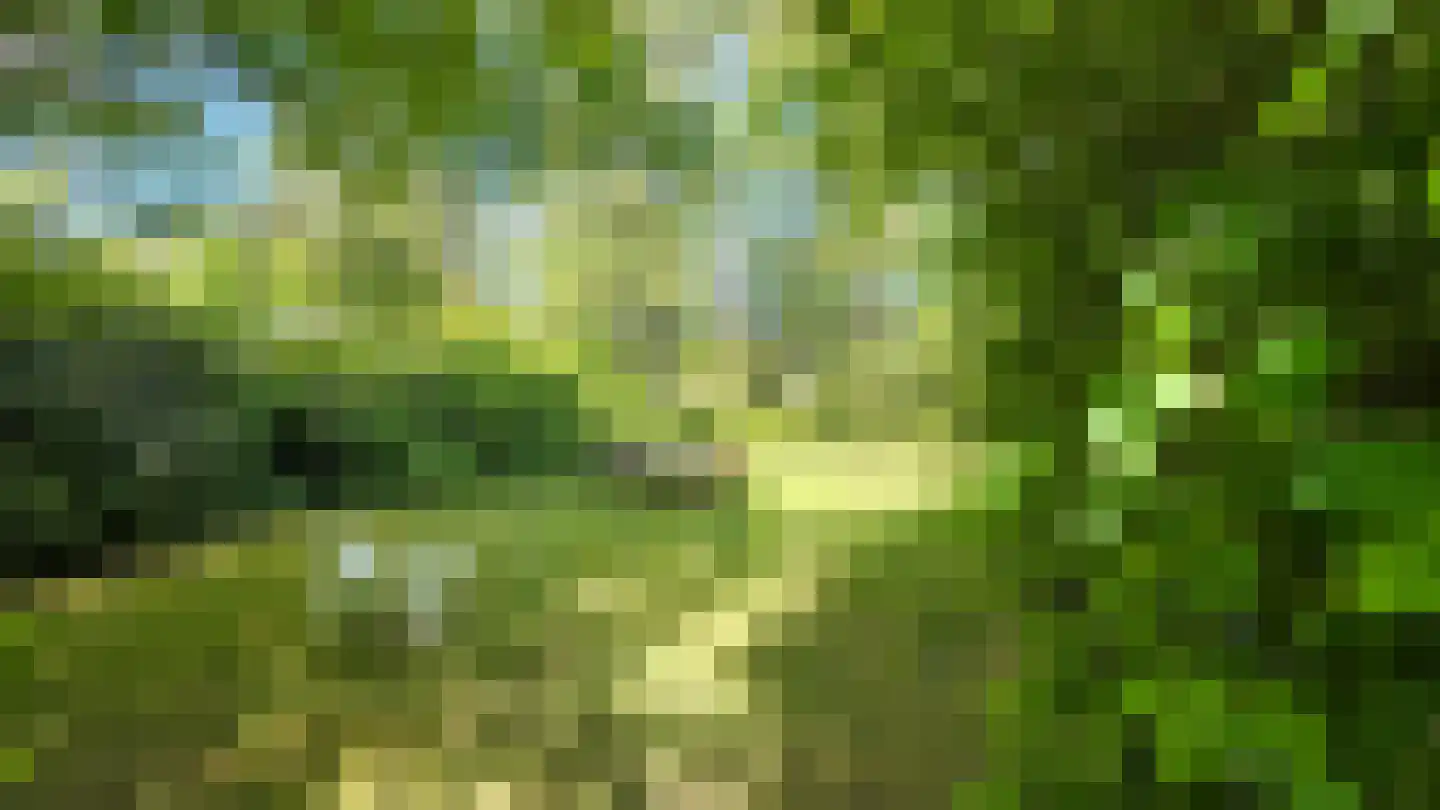 Noordlandweg 17 Midsland thumbnail 27