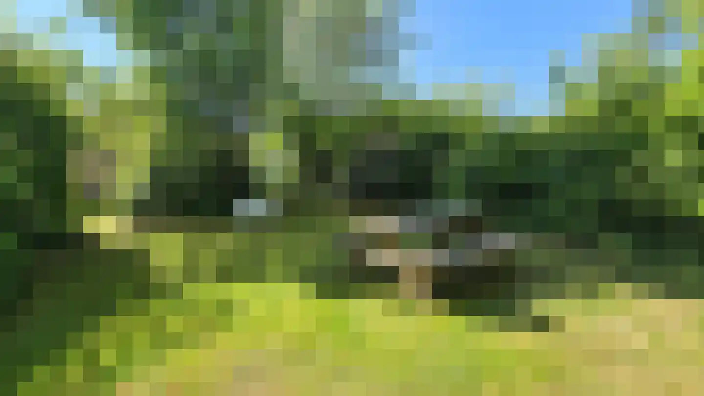 Noordlandweg 17 Midsland thumbnail 28