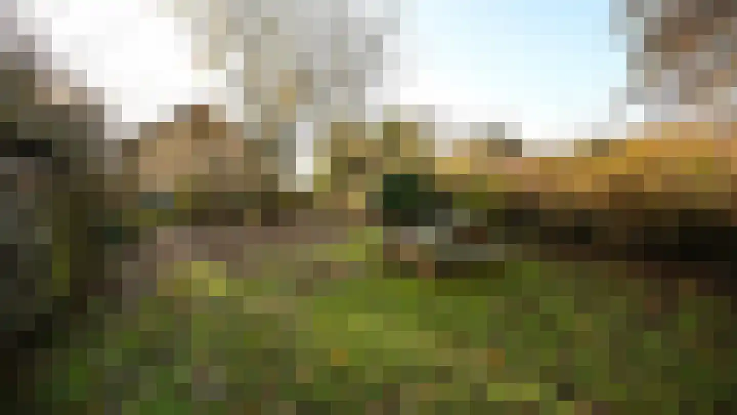 Noordlandweg 17 Midsland thumbnail 29