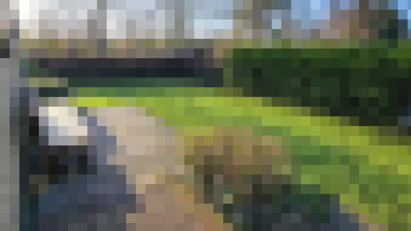 Noordlandweg 17 Midsland thumbnail 32