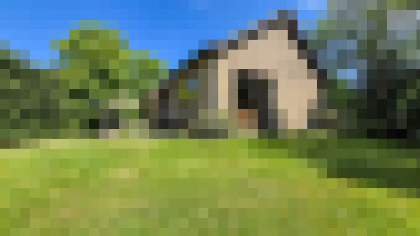 Noordlandweg 17 Midsland thumbnail 35