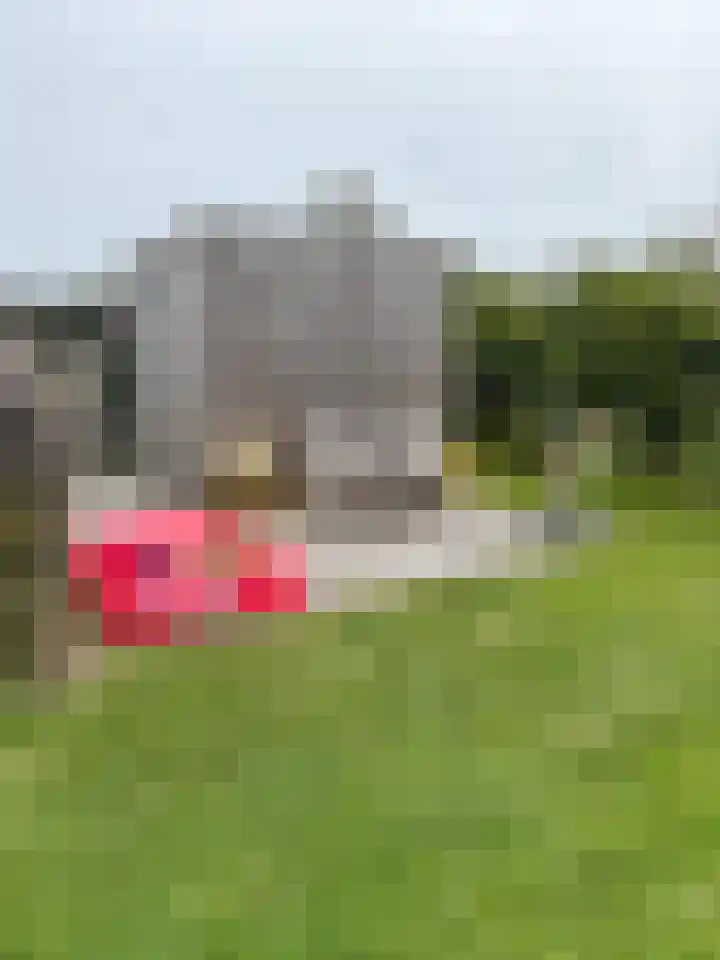 Noordlandweg 6 107 Midsland thumbnail 17