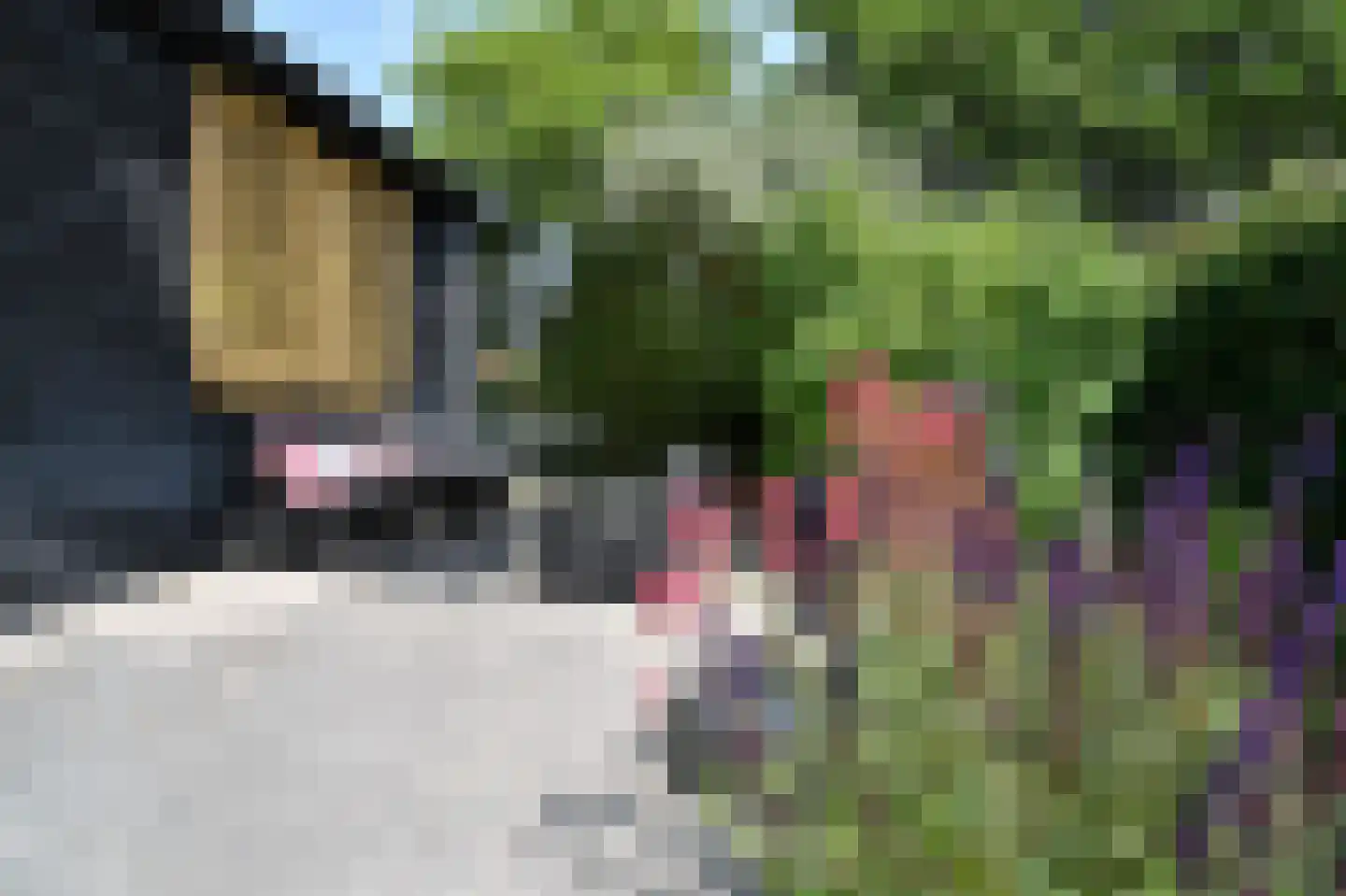 Noordlandweg 8 H 13 Midsland thumbnail 20