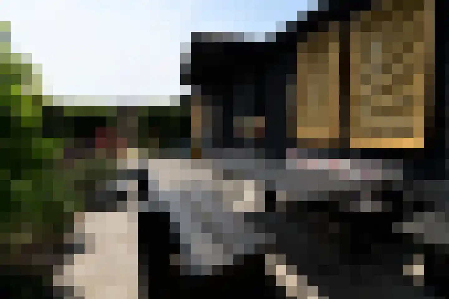 Noordlandweg 8 H 13 Midsland thumbnail 21