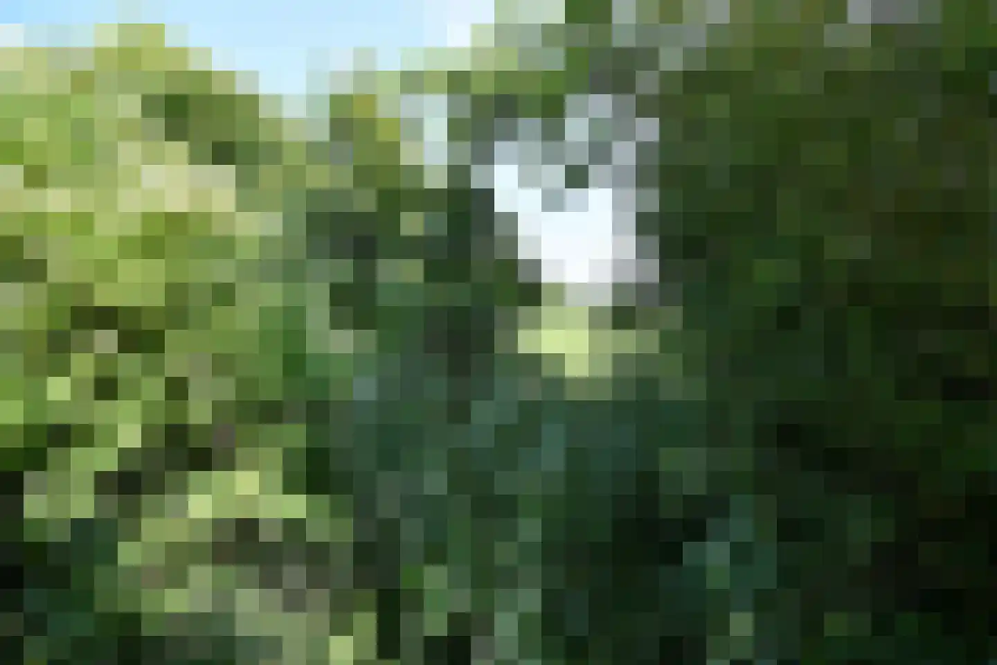 Noordlandweg 8 H 13 Midsland thumbnail 24