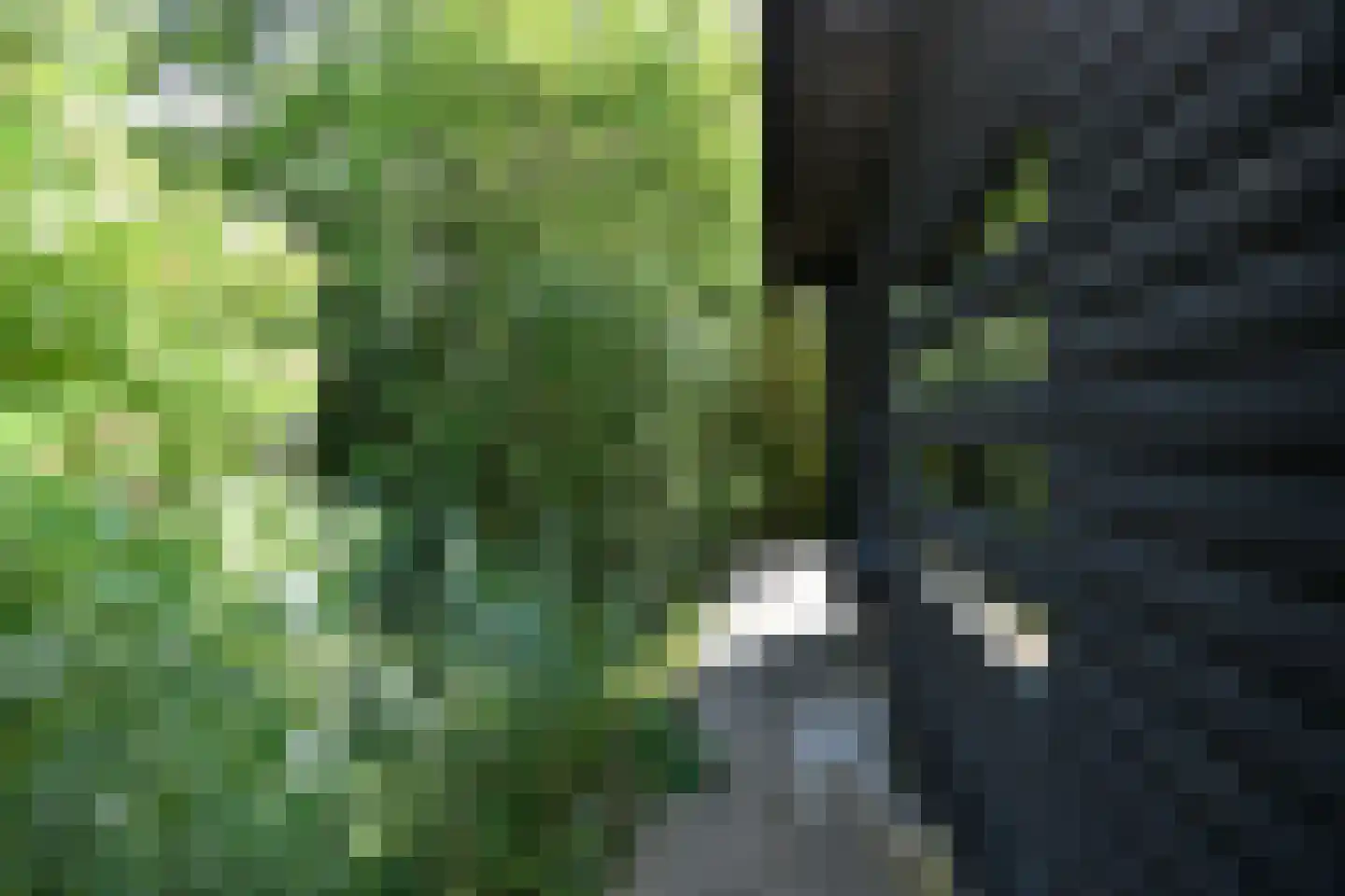 Noordlandweg 8 H 13 Midsland thumbnail 26
