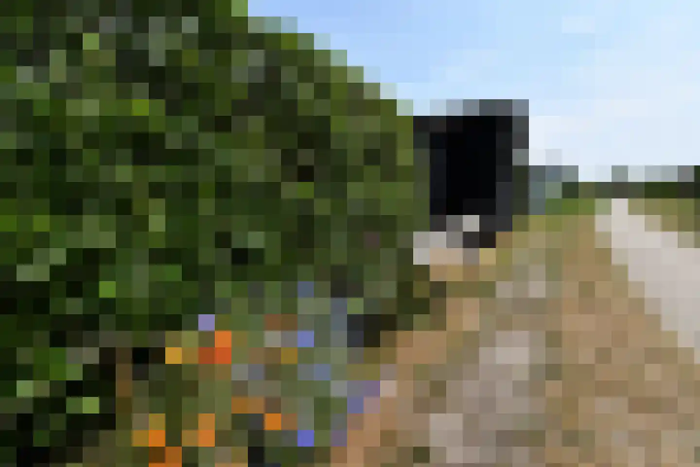 Noordlandweg 8 H 13 Midsland thumbnail 29
