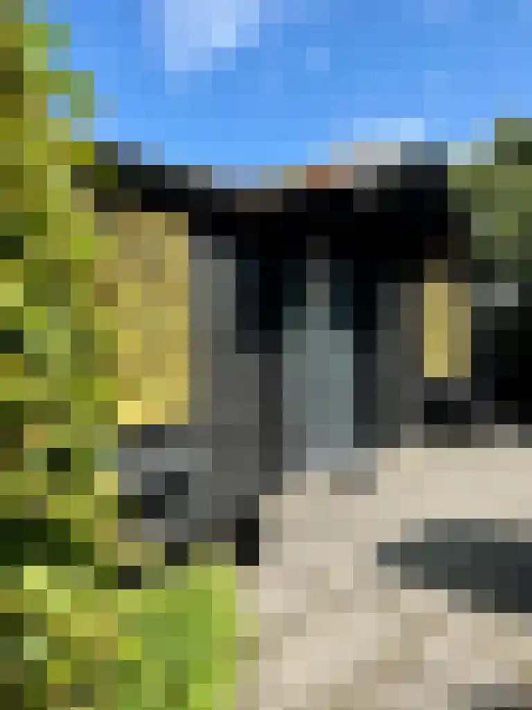 Noordlandweg 8 H 13 Midsland thumbnail 4