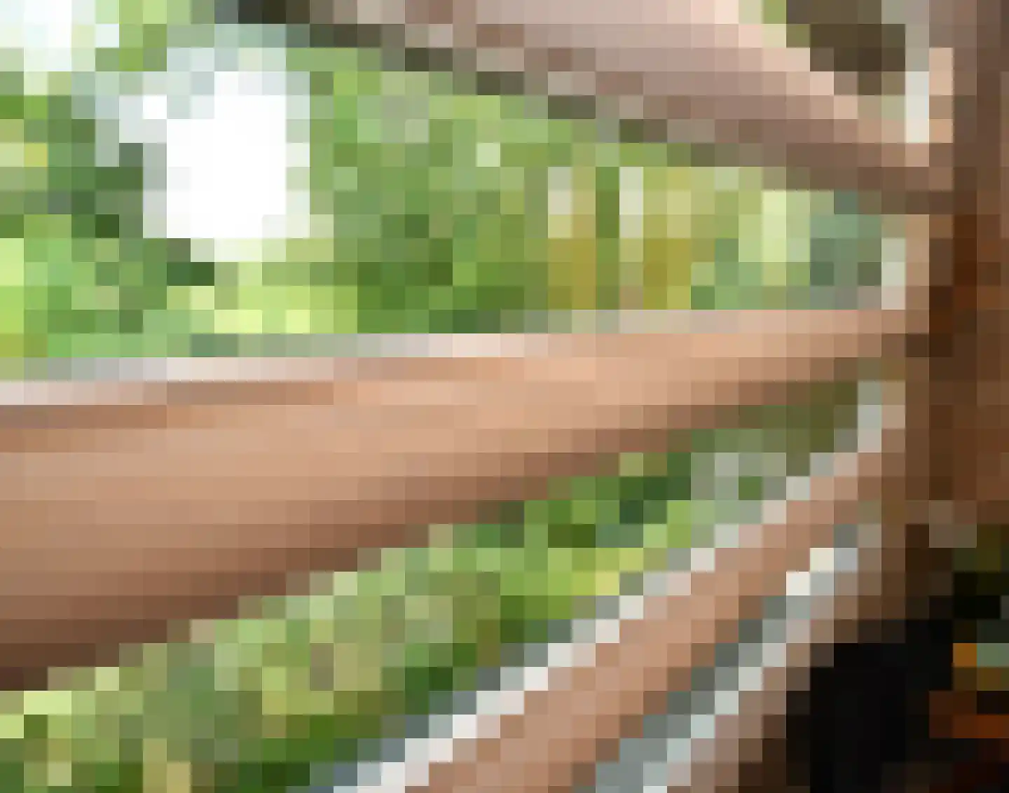Noordlandweg 8 H 13 Midsland thumbnail 7