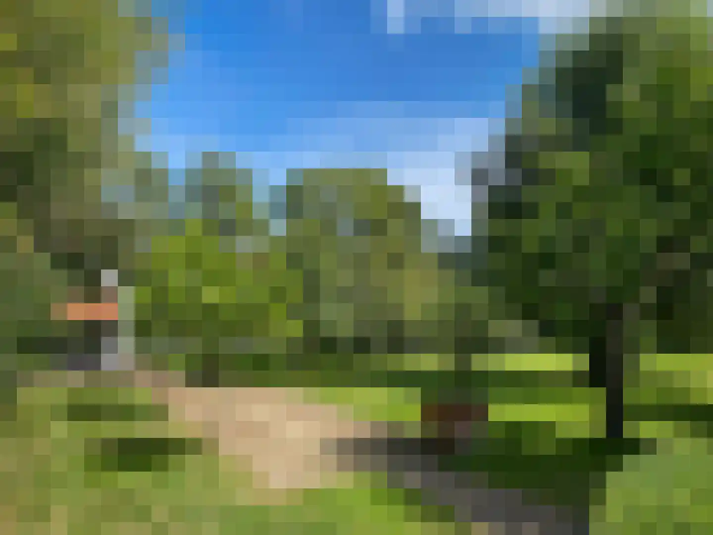 Noordlangeweg 32 Kats thumbnail 10