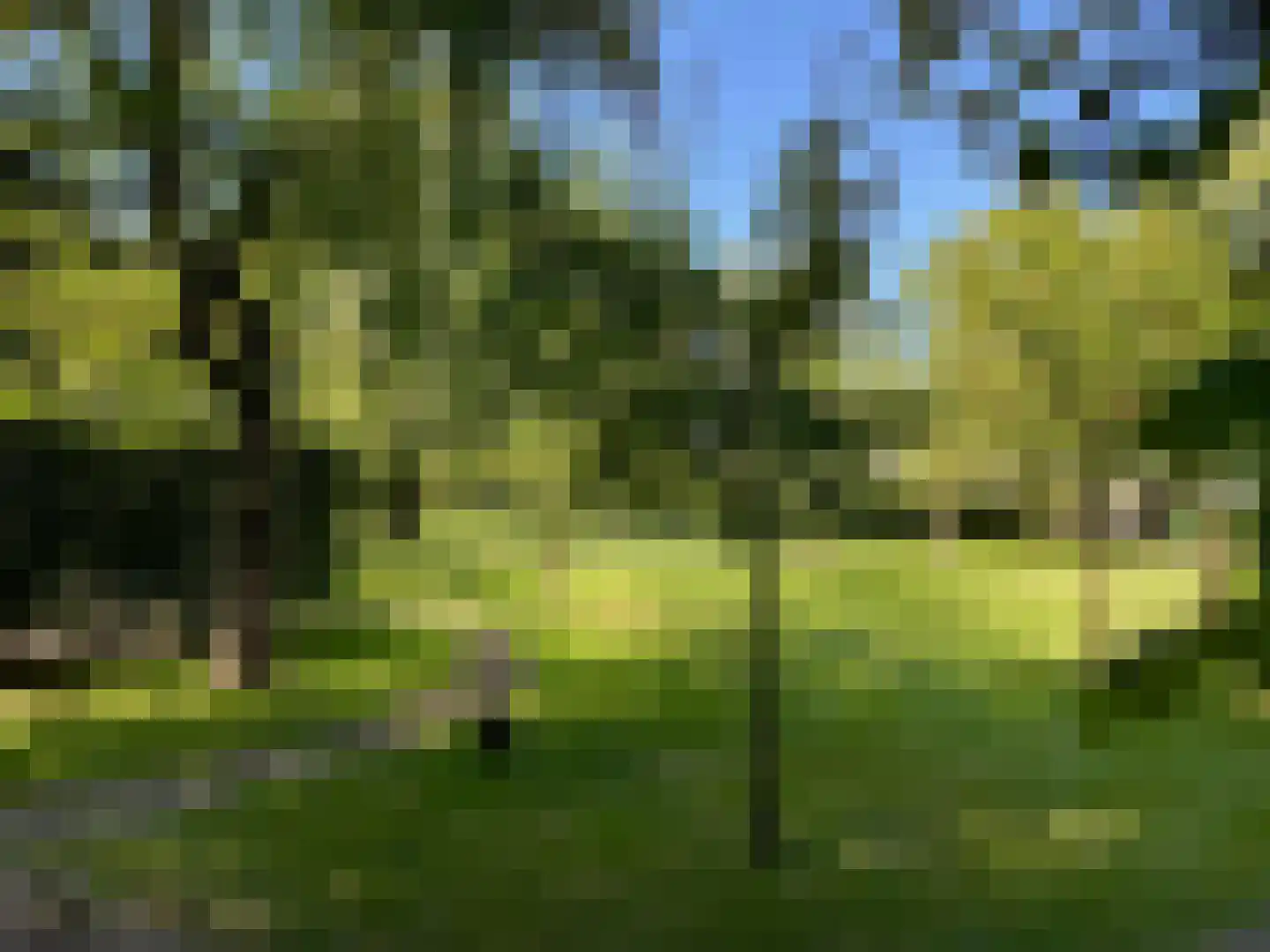 Noordlangeweg 32 Kats thumbnail 11