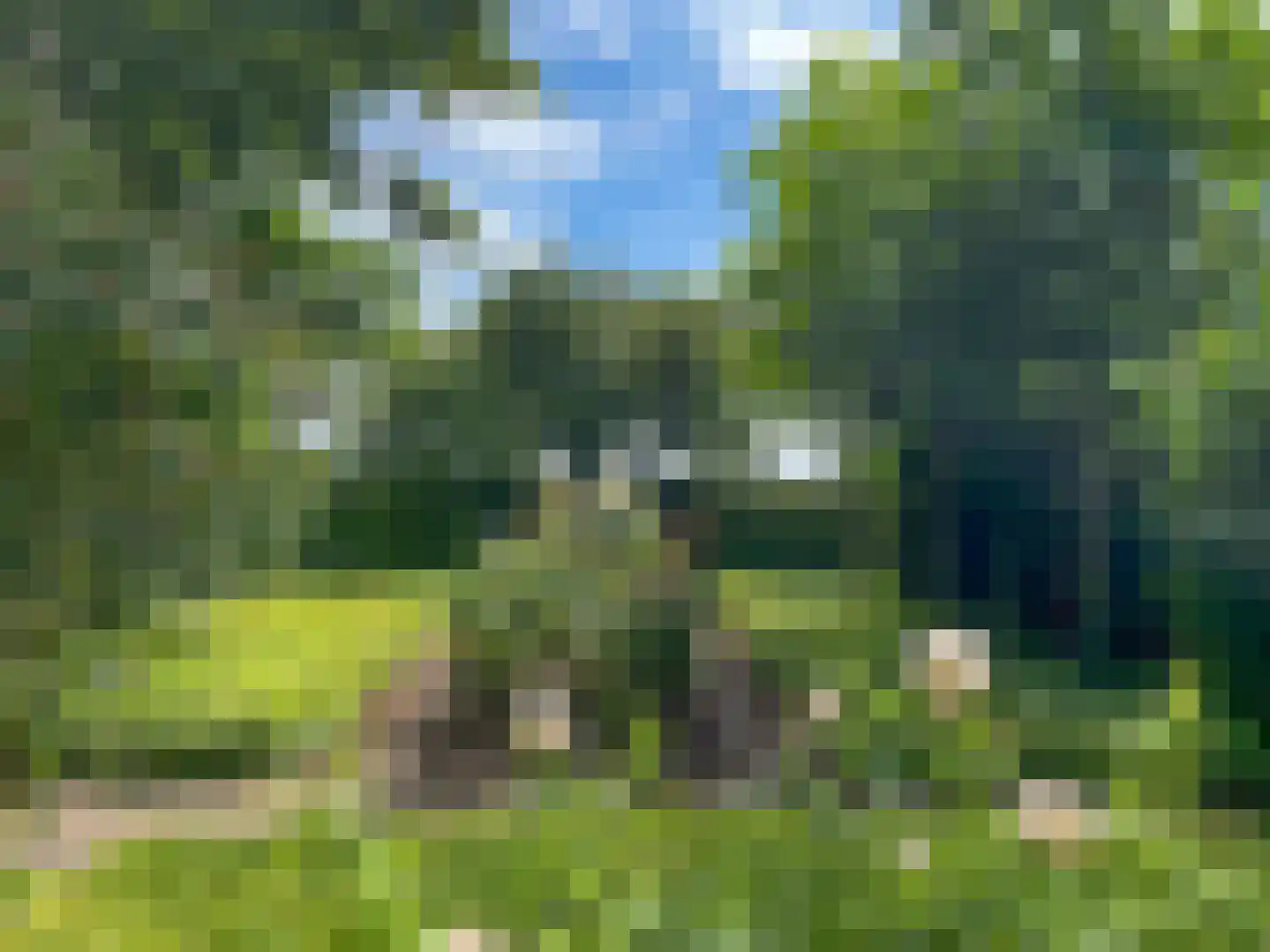 Noordlangeweg 32 Kats thumbnail 12