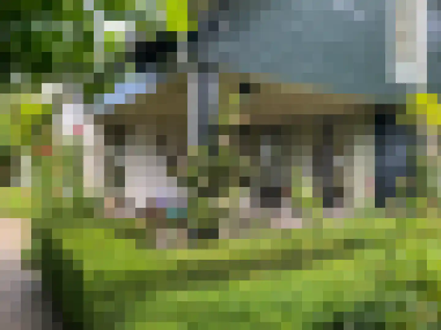 Noordlangeweg 32 Kats thumbnail 14