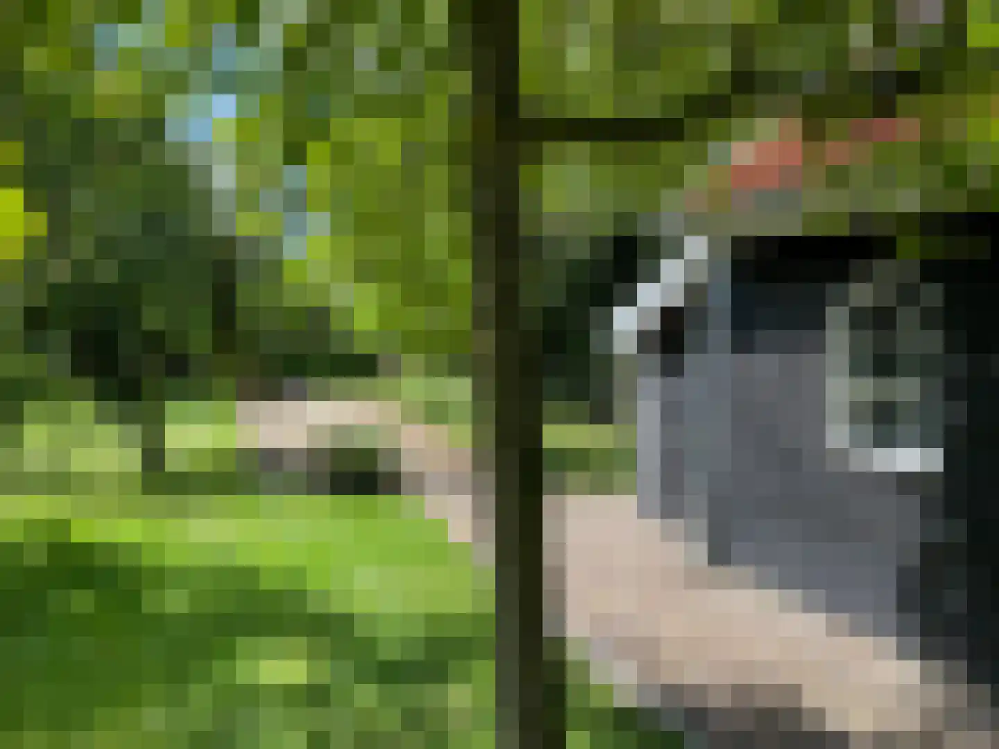 Noordlangeweg 32 Kats thumbnail 19