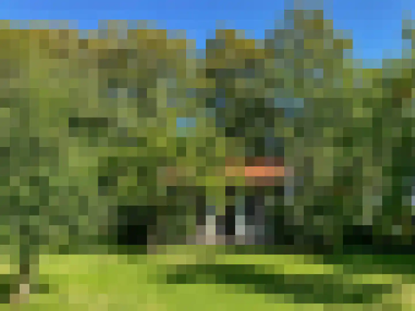 Noordlangeweg 32 Kats thumbnail 20