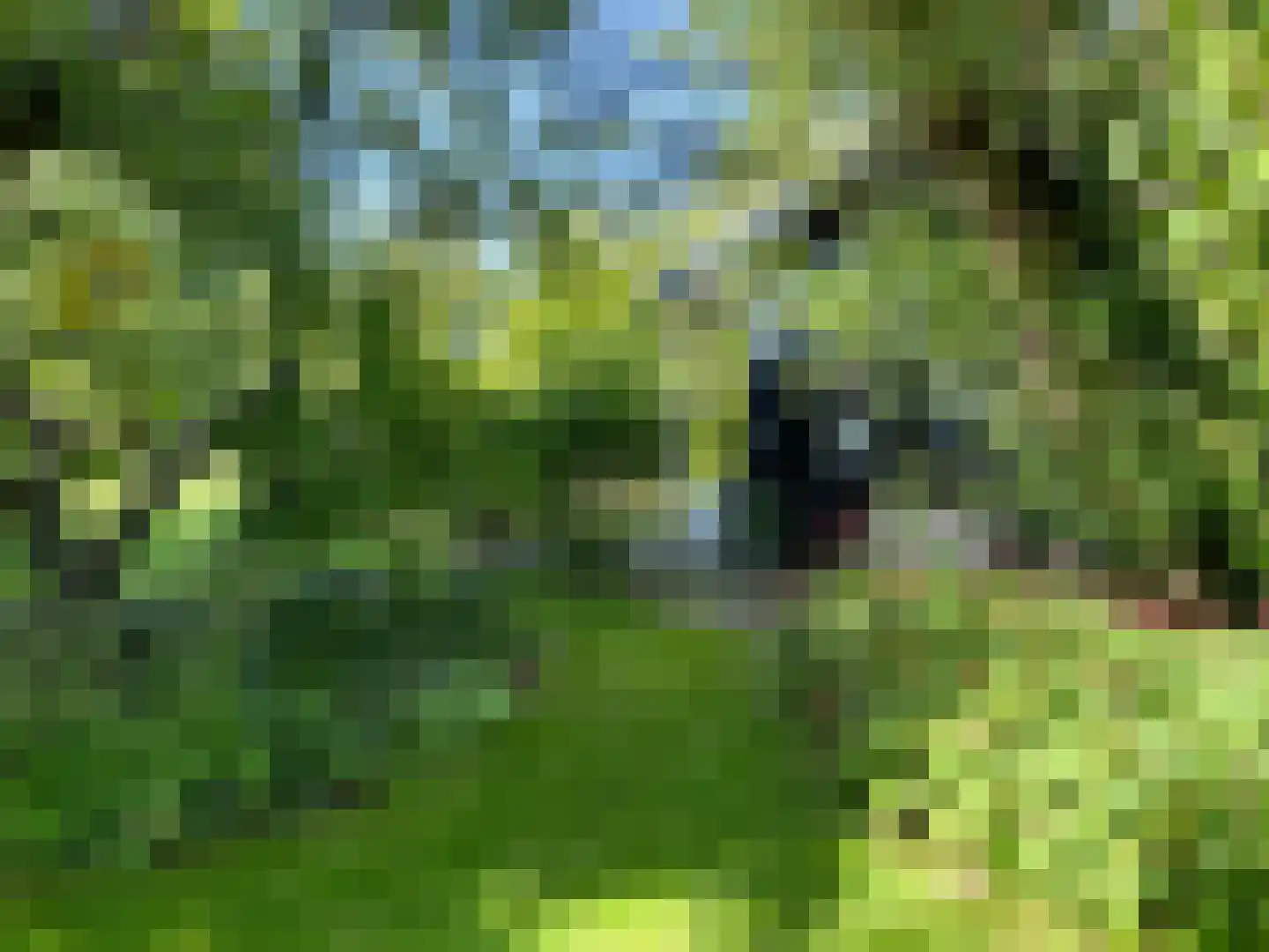 Noordlangeweg 32 Kats thumbnail 21