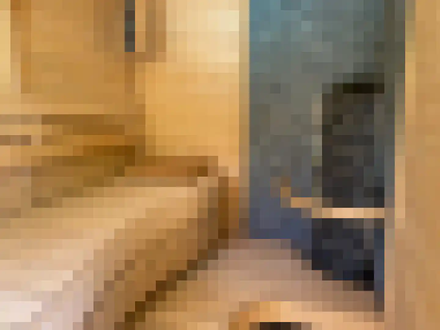 Noordlangeweg 32 Kats thumbnail 25